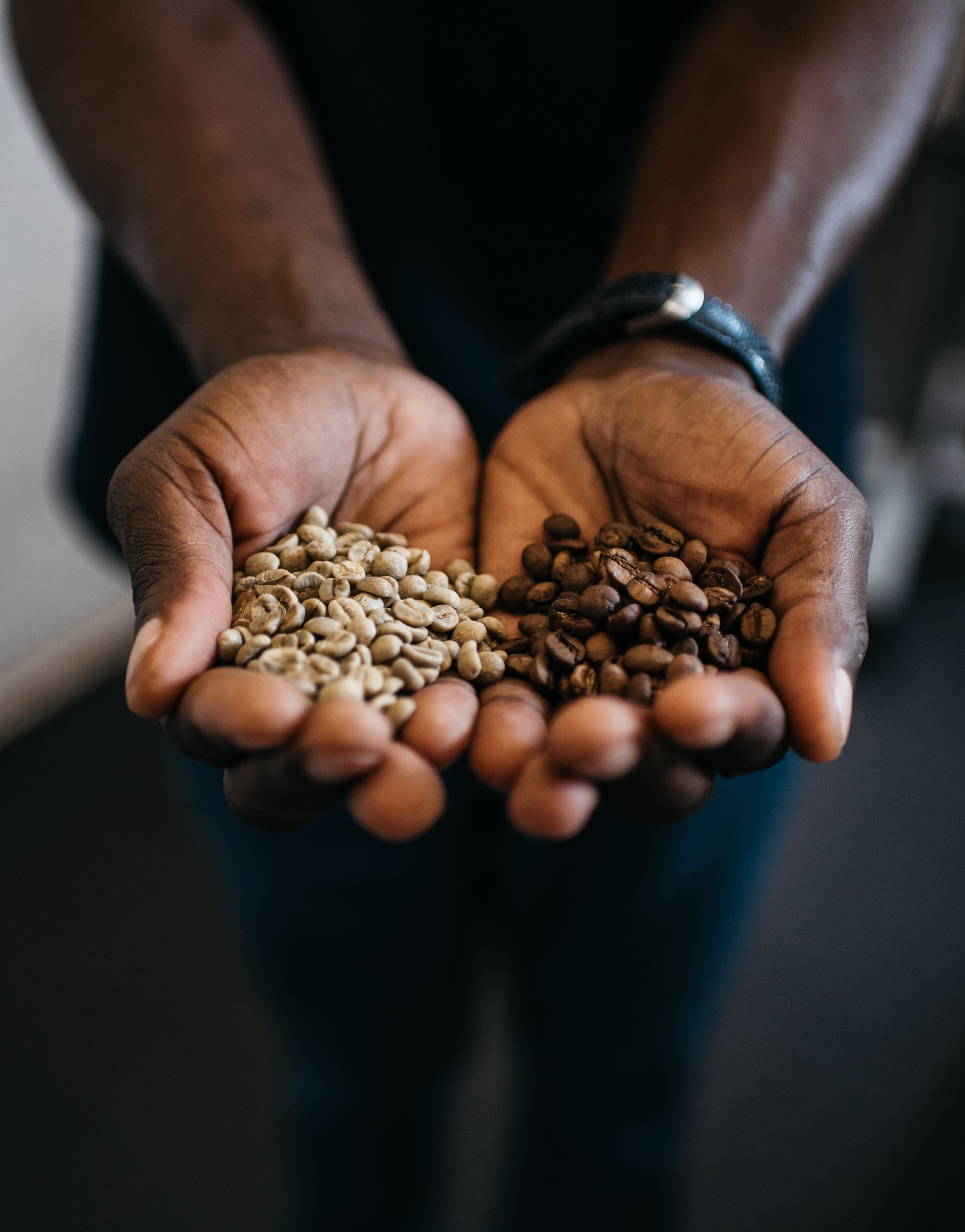 Freshly Roasted Coffee